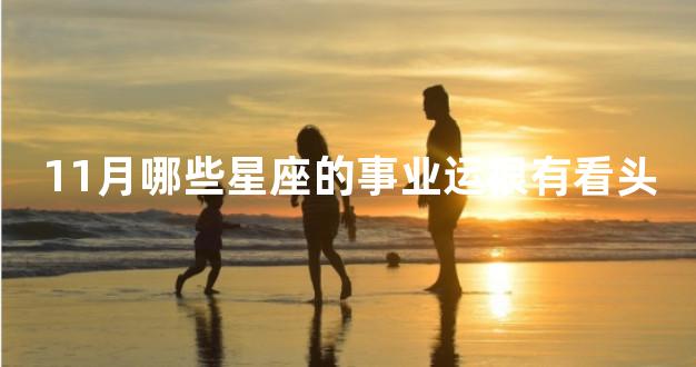 11月哪些星座的事业运很有看头