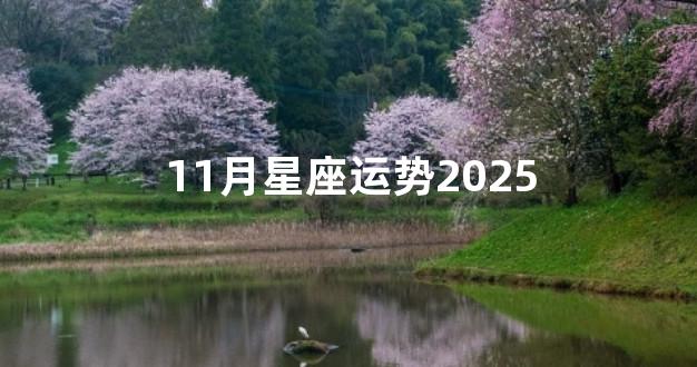11月星座运势2025