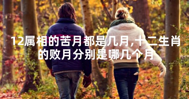 12属相的苦月都是几月,十二生肖的败月分别是哪几个