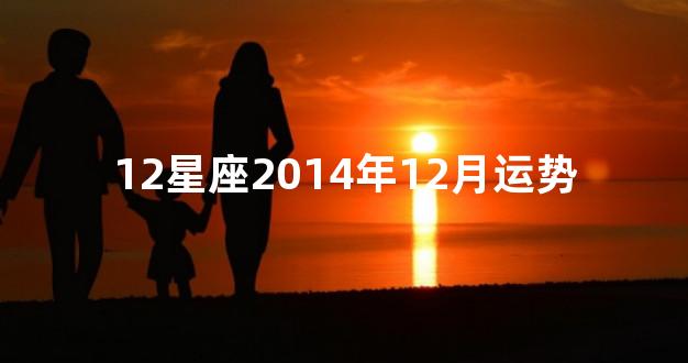 12星座2014年12月运势