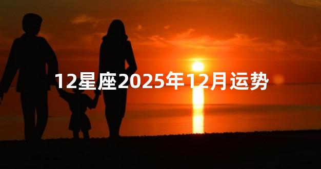 12星座2025年12月运势