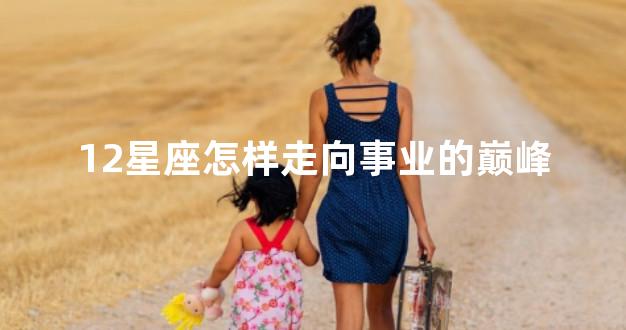 12星座怎样走向事业的巅峰
