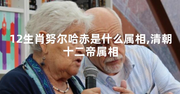 12生肖努尔哈赤是什么属相,清朝十二帝属相