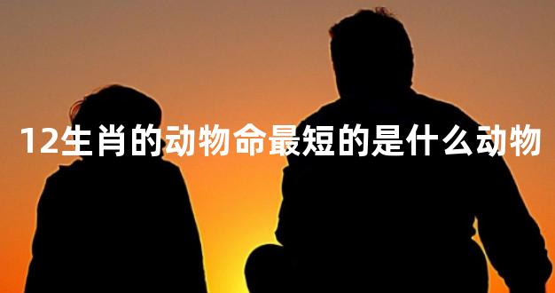12生肖的动物命最短的是什么动物