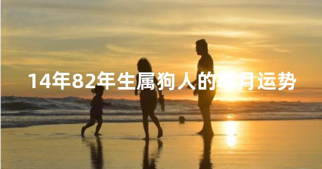14年82年生属狗人的每月运势