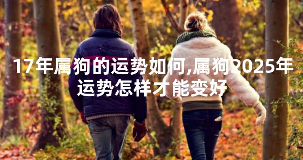 17年属狗的运势如何,属狗2025年运势怎样才能变好