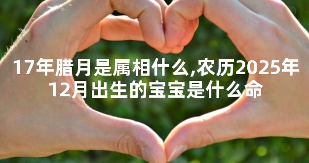 17年腊月是属相什么,农历2025年12月出生的宝宝是什么