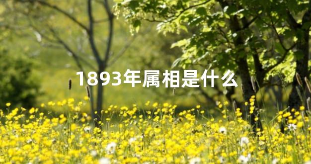 1893年属相是什么