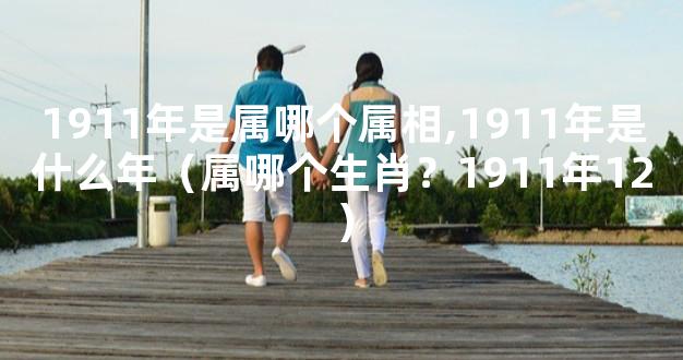 1911年是属哪个属相,1911年是什么年（属哪个生肖？1911年12）