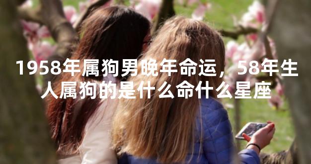 1958年属狗男晚年命运，58年生人属狗的是什么命什么