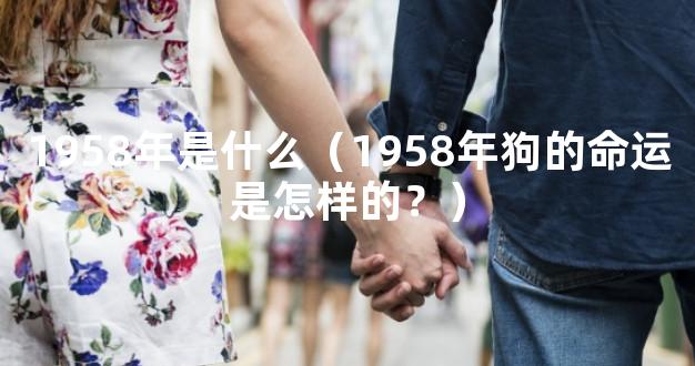 1958年是什么（1958年狗的命运是怎样的？）