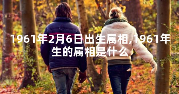 1961年2月6日出生属相,1961年生的属相是什么