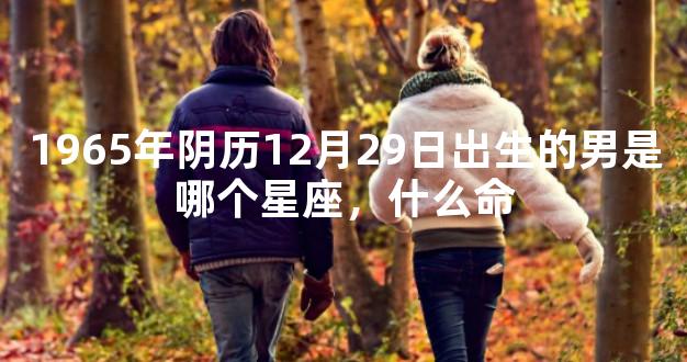 1965年阴历12月29日出生的男是哪个星座，什么命