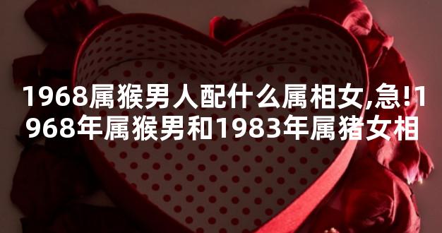 1968属猴男人配什么属相女,急!1968年属猴男和1983年属猪