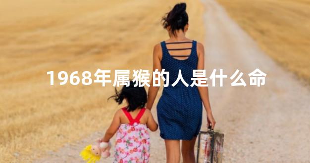 1968年属猴的人是什么命