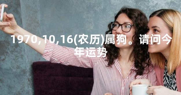 1970,10,16(农历)属狗。请问今年运势