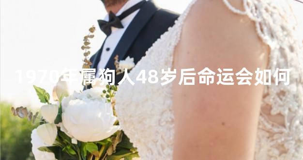 1970年属狗人48岁后命运会如何