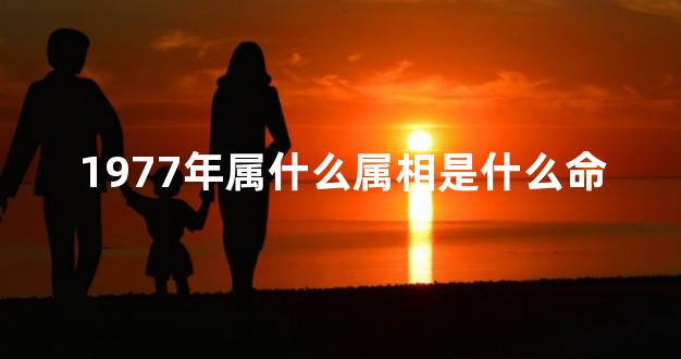 1977年属什么属相是什么命