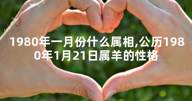 1980年一月份什么属相,公历1980年1月21日属羊的性格