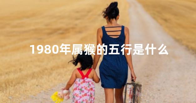 1980年属猴的五行是什么