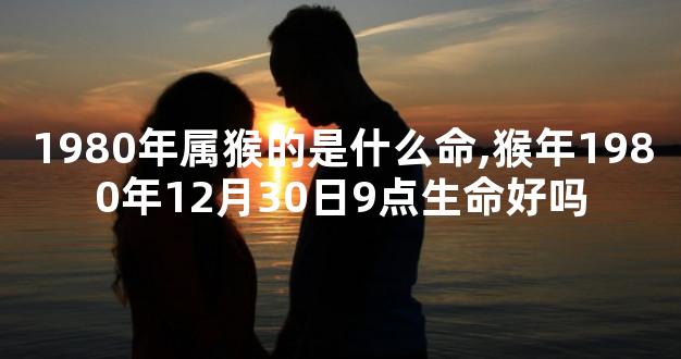 1980年属猴的是什么命,猴年1980年12月30日9点生命好吗