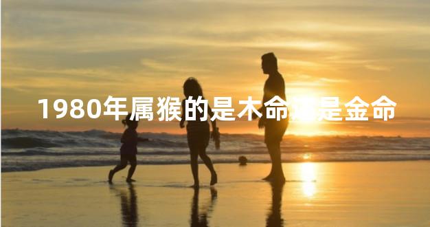1980年属猴的是木命还是金命