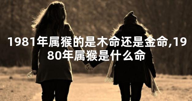 1981年属猴的是木命还是金命,1980年属猴是什么命