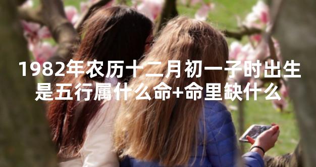 1982年农历十二月初一子时出生是五行属什么命+命里缺