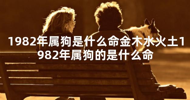 1982年属狗是什么命金木水火土1982年属狗的是什么命