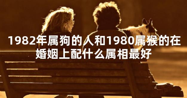 1982年属狗的人和1980属猴的在婚姻上配什么属相最好
