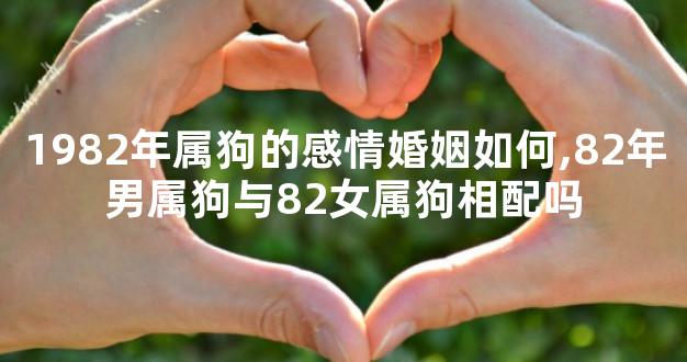 1982年属狗的感情婚姻如何,82年男属狗与82女属狗相配