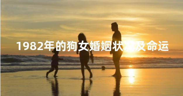 1982年的狗女婚姻状况及命运
