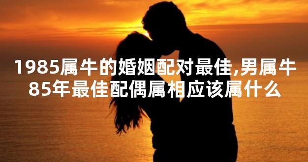 1985属牛的婚姻配对最佳,男属牛85年最佳配偶属相应该属什么