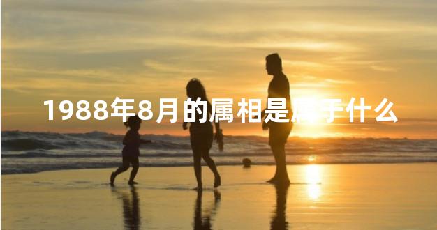 1988年8月的属相是属于什么