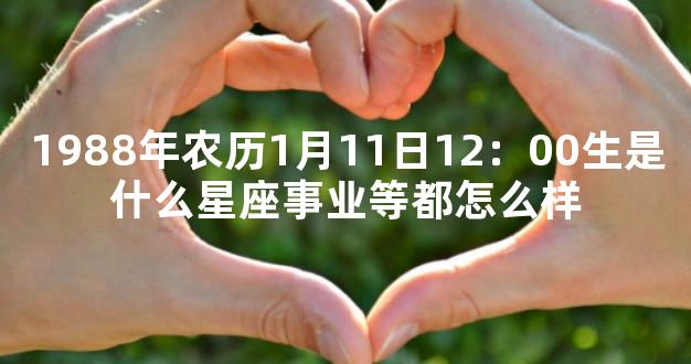 1988年农历1月11日12：00生是什么星座事业等都怎么样