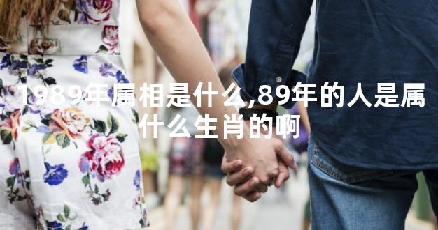 1989年属相是什么,89年的人是属什么生肖的啊