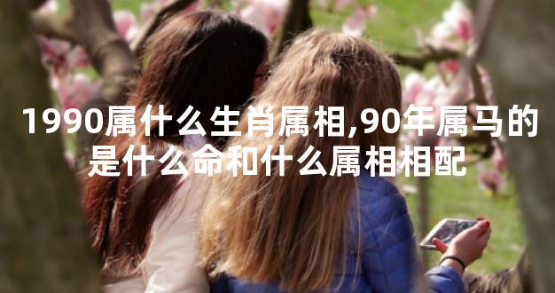 1990属什么生肖属相,90年属马的是什么命和什么属相相