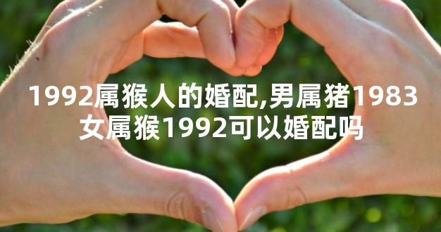 1992属猴人的婚配,男属猪1983女属猴1992可以婚配吗