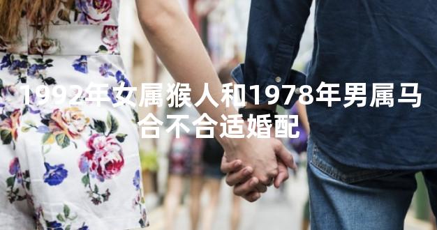 1992年女属猴人和1978年男属马合不合适婚配