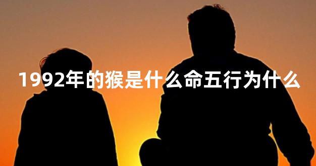1992年的猴是什么命五行为什么