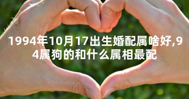 1994年10月17出生婚配属啥好,94属狗的和什么属相最配