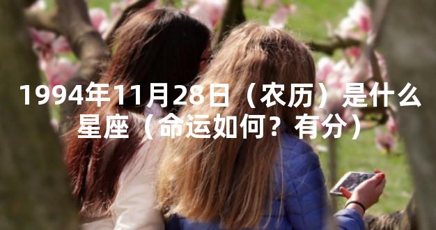 1994年11月28日（农历）是什么星座（命运如何？有分）