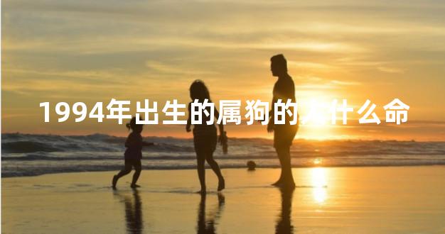 1994年出生的属狗的人什么命
