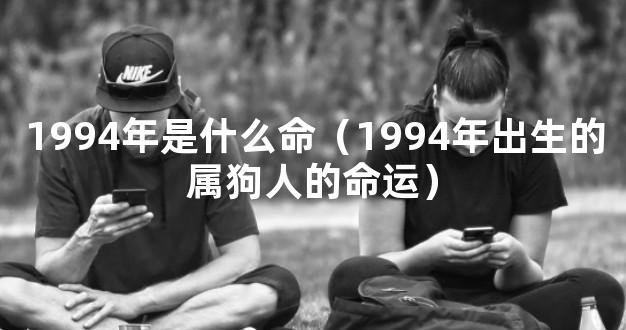 1994年是什么命（1994年出生的属狗人的命运）