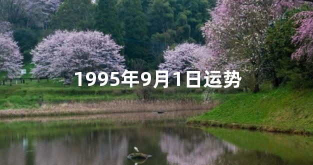 1995年9月1日运势