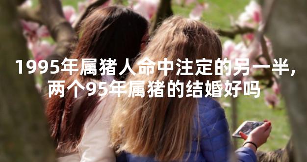 1995年属猪人命中注定的另一半,两个95年属猪的结婚好