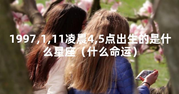 1997,1,11凌晨4,5点出生的是什么星座（什么命运）