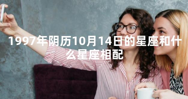 1997年阴历10月14日的星座和什么星座相配