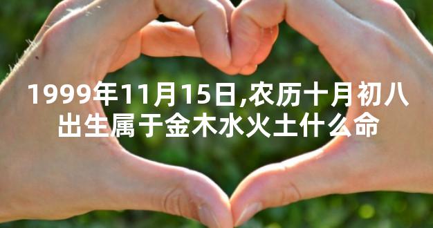 1999年11月15日,农历十月初八出生属于金木水火土什么