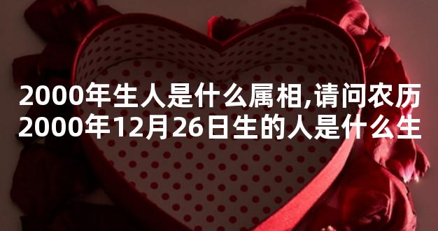 2000年生人是什么属相,请问农历2000年12月26日生的人是